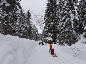 A group of people pulling sleds on a path