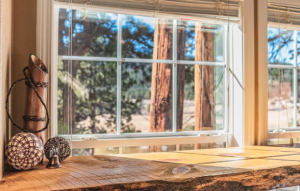 A window looking out into the forest from a tiny home, a unique place to stay in Colorado