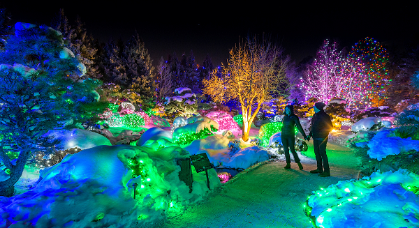 A couple walking through one of the most popular Colorado Christmas celebrations, Denver Botanic Gardens