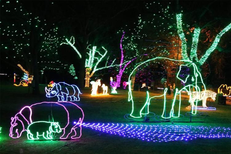 Illuminated animals at Denver Zoo Lights, a long-running Colorado Christmas celebration