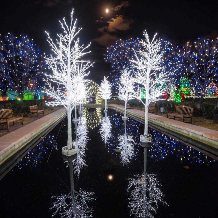 Lit trees and a water feature at Hudson Gardens, home to a favorite Colorado Christmas celebration